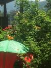 Hostal Hotel Victoria-panorama