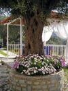 Apartamento Golden Beach Inn