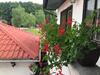 Bed & Breakfast Sobe Glava?
