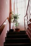 Hostal Guest House Sv. Nikola