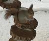 Hotel Night In Magic Villins Book