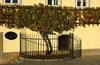 Aparthotel Luxury Apartments Bona - Bolfenk