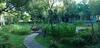 Amrita Green Retreat