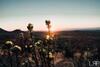 Sweetfontein Boutique Farm Lodge
