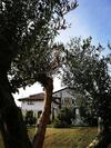 Hotel Tenuta Ferrara