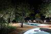 Sagala Lodge