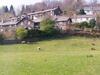 3 Low House Cottages