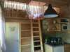 Ecog�te Les Papillons Des Sucs