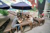 Hostal Nomads Capital Backpackers Wellington
