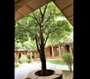 Hotel Rawal Kot
