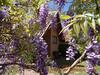 Hostal Canto Da Lua Chal�s E Api�rio