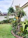 Hostal Dscvr - The Garden San Jos�