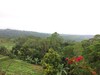 Pacung Indah Hotel And Restaurant