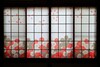 Coto Kyoto Fushimi