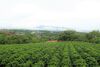 Bed & Breakfast Ruta Verde House