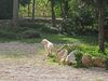 Bed & Breakfast Casato Calabrese