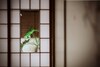 Bed & Breakfast Kyomachiya-kagurazaka