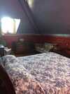 Bed & Breakfast 234 Winder St Inn