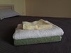 Apartamenty Kmv