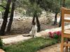 Hotel Durusu Ciftlik Evleri
