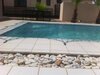 Hotel Cycad Palm Guest House