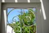 9 Muses Villas Mykonos