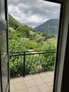 Sarenagomila