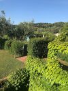 Agroturismo Agriturismo Villa Borgeri