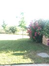 Agroturismo Agriturismo Villa Borgeri