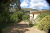 B&B Il Melo Cotogno