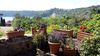 B&B Fiorella