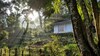 Hotel Jungle Tide Bungalow