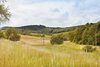 Landhotel & Waldgasthof Lembergblick