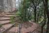 Altido Villa Monterosso Apartment Giardino