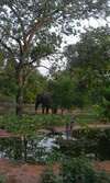 Thula Private Lodge