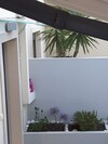 Bow Lux Apartments