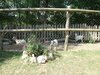Beautiful Apartment With Garden, Patio, Pool, Barbecue