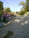 Sunshine Garden Pension
