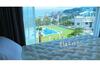 Dalbit (Blue Road Town Pension)