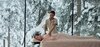 Apartamento The Khyber Himalayan Resort & Spa