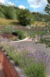 The Laurels B&B