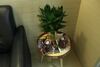 Hotel New Grand Guest House