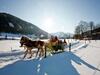 Luxurious Chalet Near Ski Area In Murau