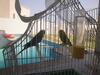 Villa Holiday