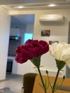 Apartamento Residence Haouari
