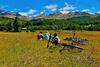 Lodge Huemules Reserva de Monta�a