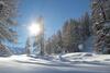 Quadratscha Swiss Quality Alpenhotel