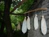 Bed & Breakfast Da Erminia