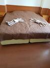 Apartamento Rainbow 1