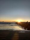 Ess�ncia Do Mar
